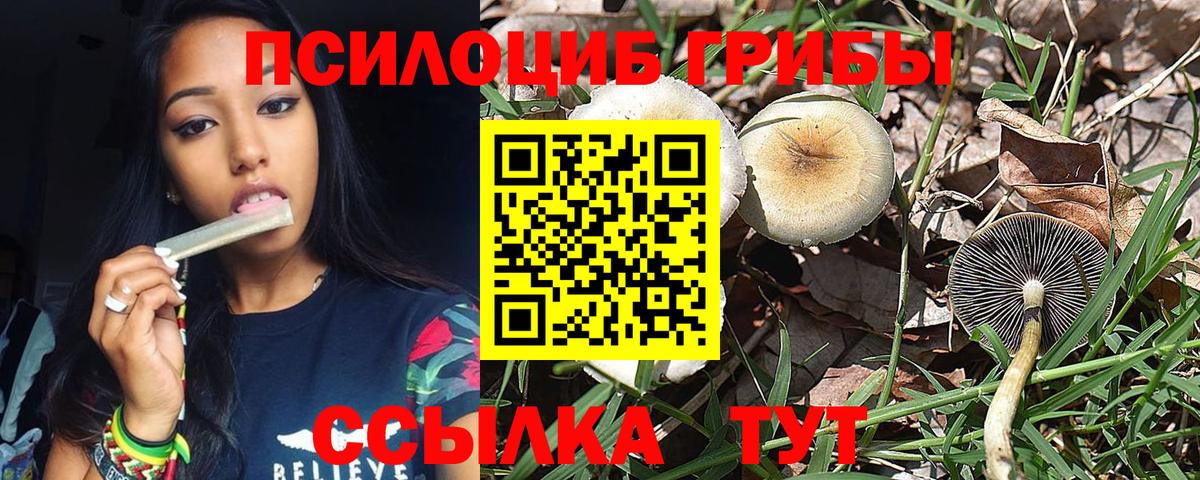 Псилоцибиновые грибы MAGIC MUSHROOMS Тольятти