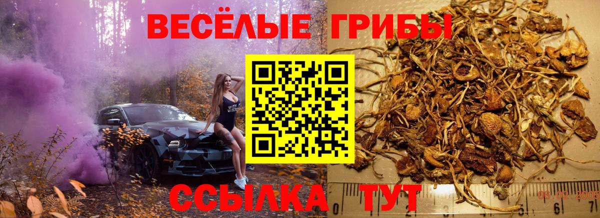 Галлюциногенные грибы Psilocybine cubensis  Вход с VPN  Тольятти  Псилоцибиновые грибы мицелий 
